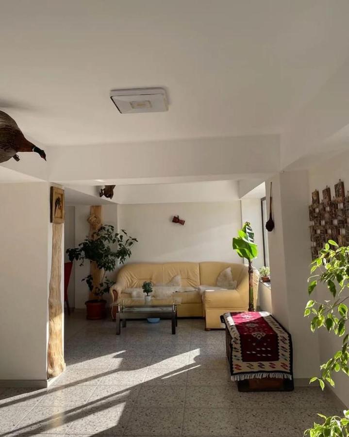 קומרניק Casa De Vacanta Clara Maria מראה חיצוני תמונה